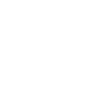 Prime Capital Groupins Auto Insurance Icon 1