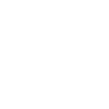 Prime Capital Groupins Auto Insurance Icon 2